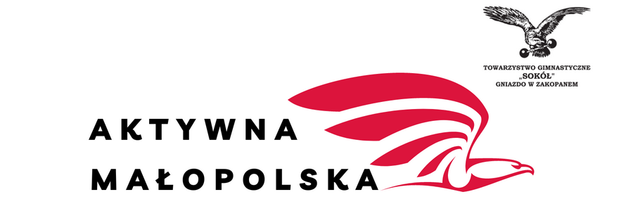 Aktywna Małopolska  - logo